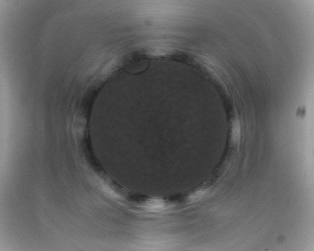 X0000092250227200709141155