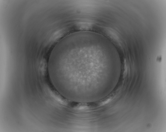 X0000092250228200709141155