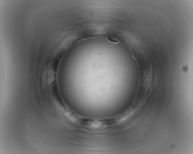 X0000092250230200709141155