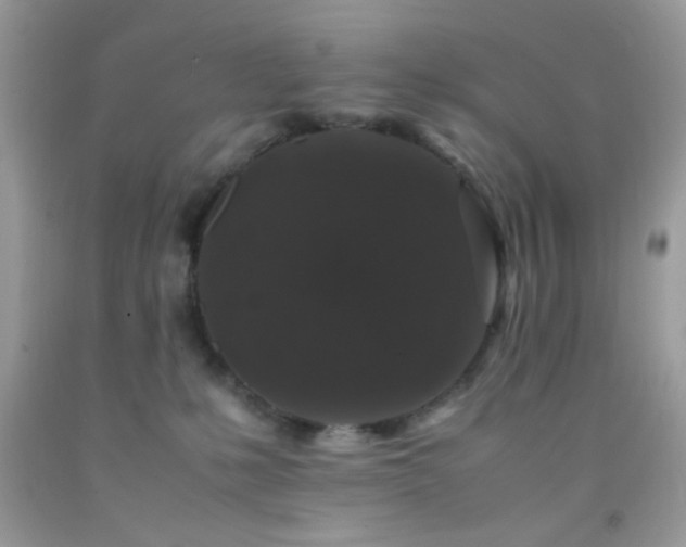 X0000092250231200709141155