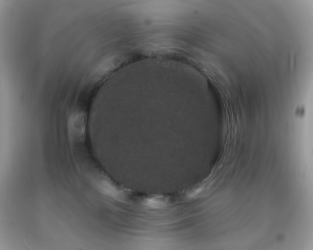 X0000092250232200709141155