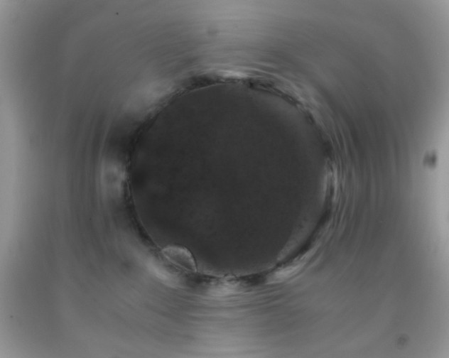 X0000092250235200709141154