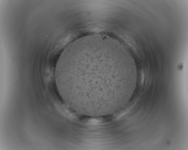 X0000092250236200709141154