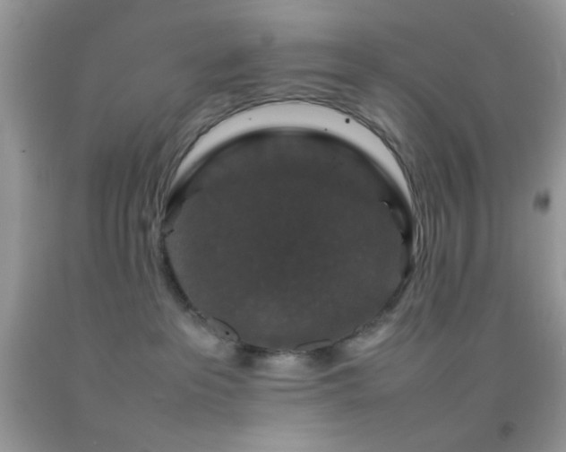 X0000092250237200709141154