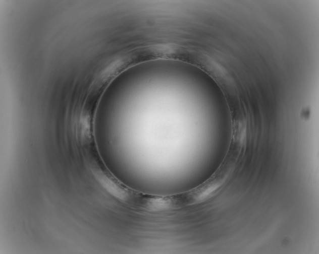 X0000092250238200709141154
