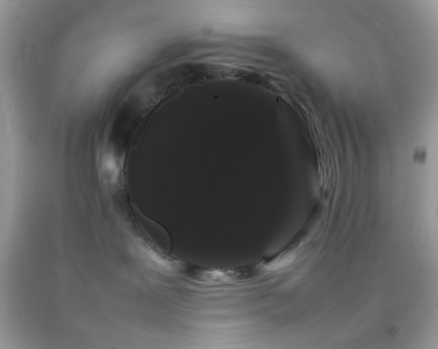 X0000092250239200709141154