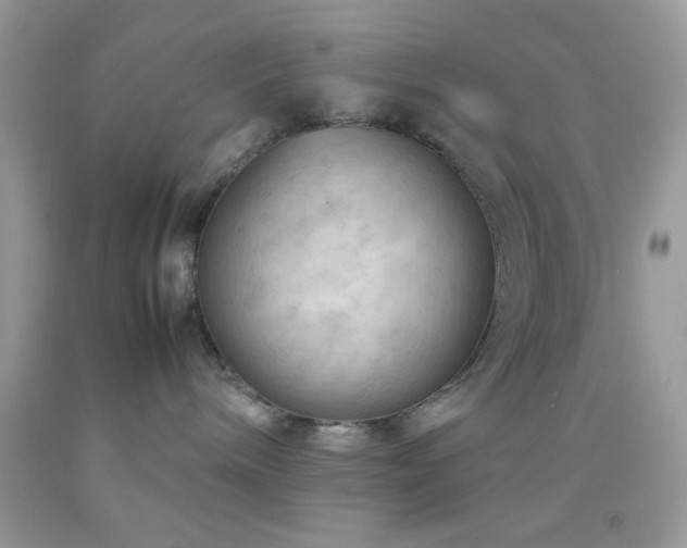 X0000092250240200709141154