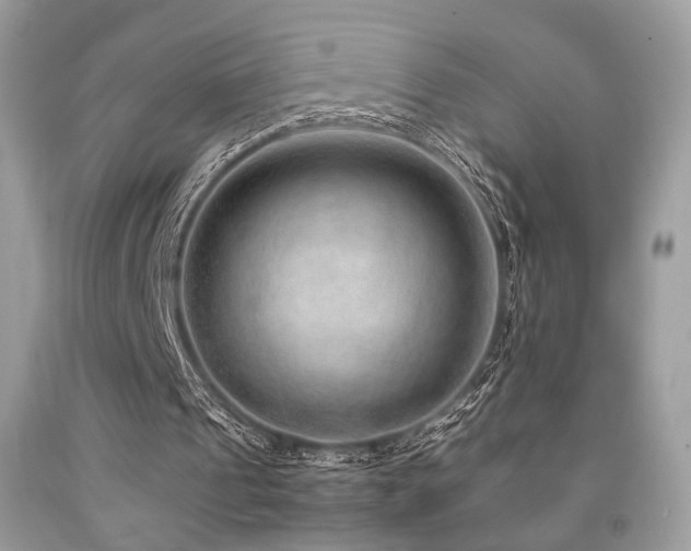 X0000092250241200709141154