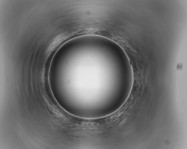 X0000092250242200709141154