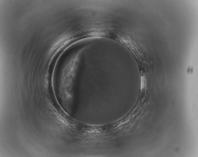 X0000092250243200709141154