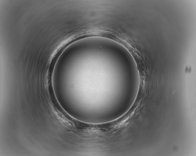 X0000092250244200709141154