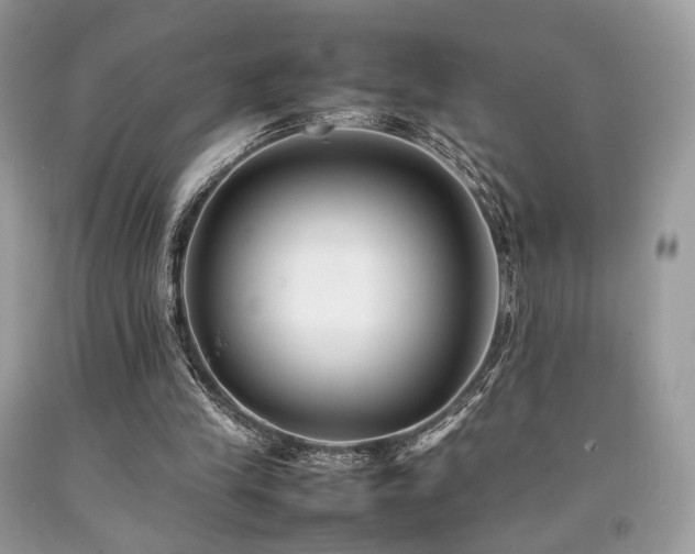 X0000092250245200709141154