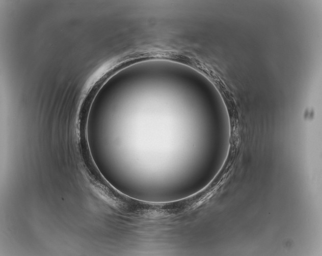 X0000092250246200709141154