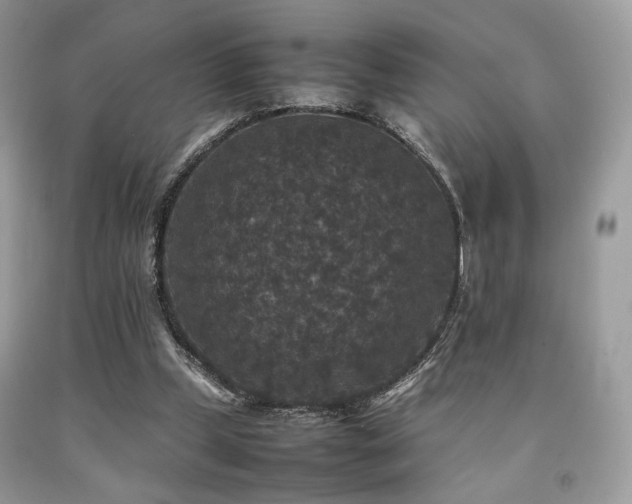 X0000092250249200709141154