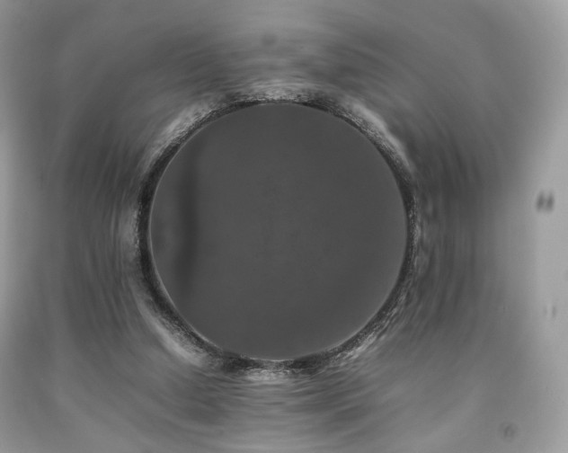 X0000092250250200709141154