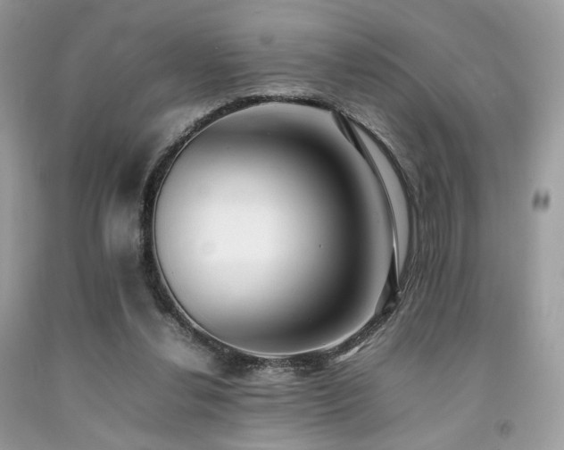 X0000092250252200709141154