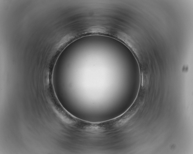 X0000092250253200709141154