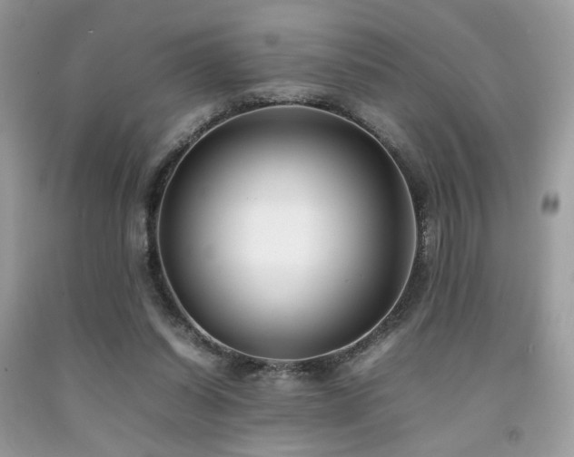 X0000092250254200709141154