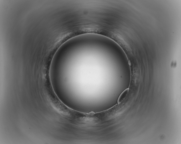 X0000092250255200709141154