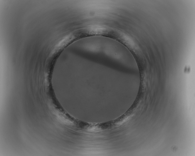 X0000092250258200709141154