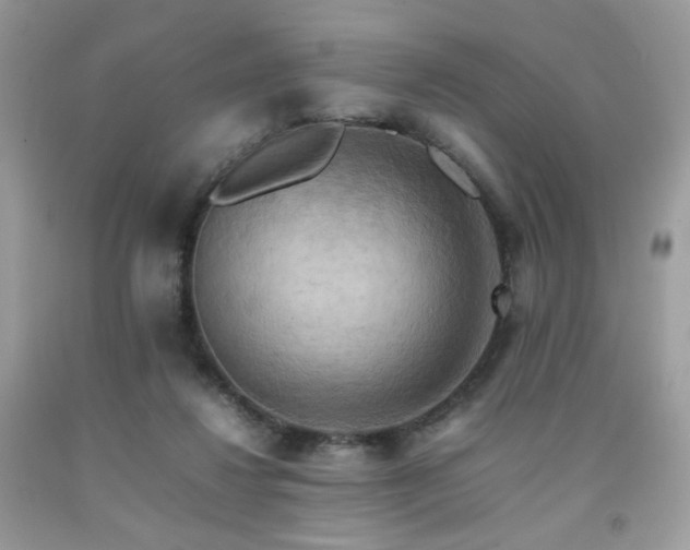 X0000092250260200709141154