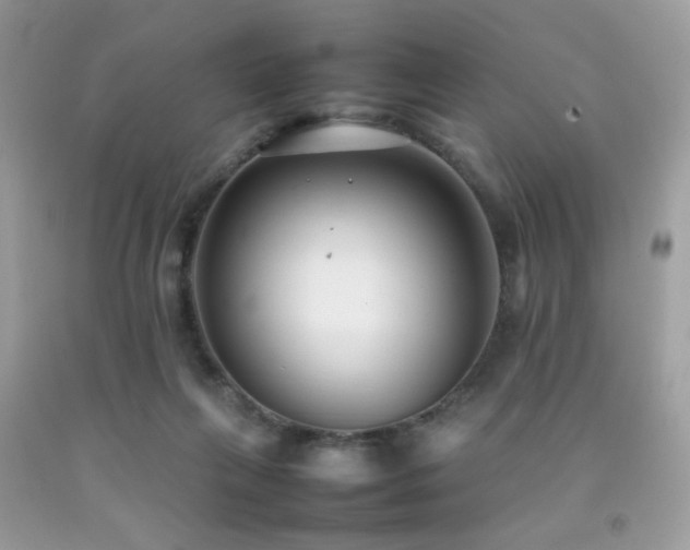 X0000092250263200709141154