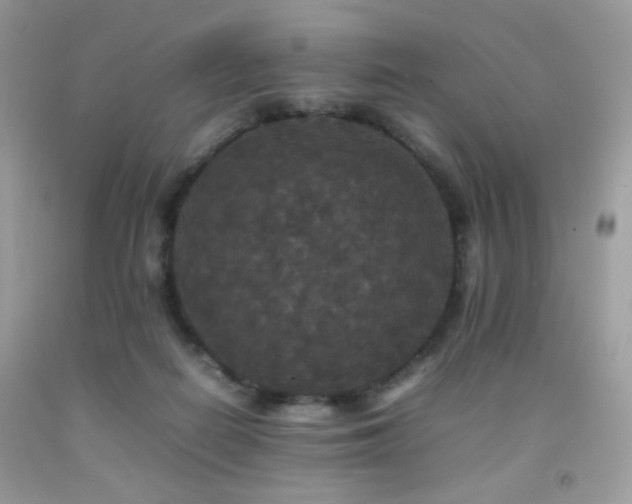 X0000092250266200709141154