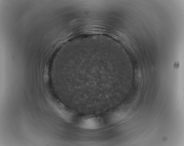 X0000092250267200709141154