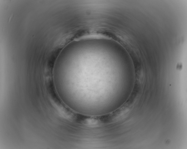 X0000092250272200709141154