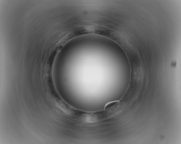 X0000092250275200709141154