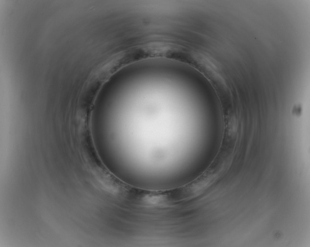 X0000092250283200709141154