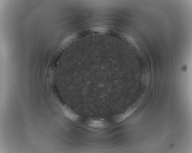 X0000092250285200709141154