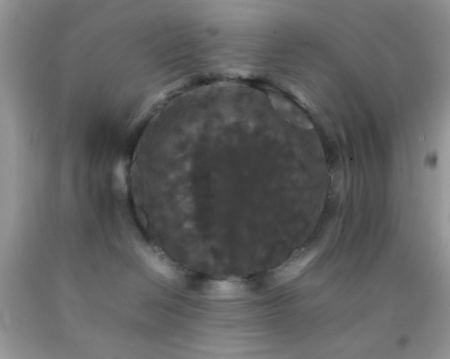 X0000092250286200709141154