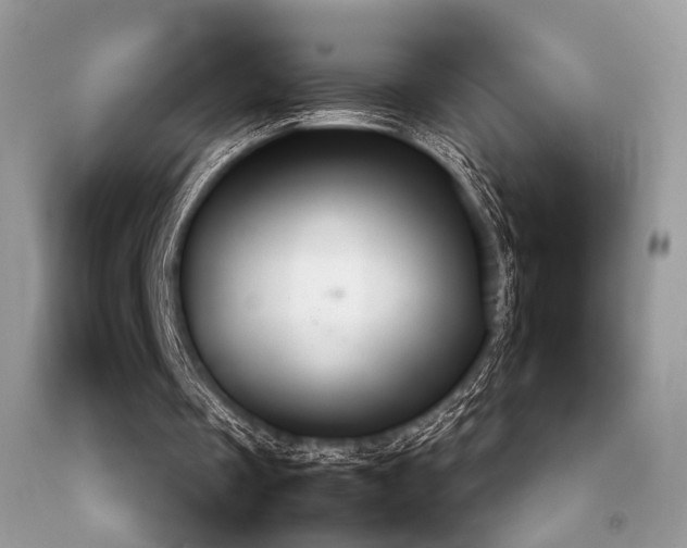 X0000092250289200709141154