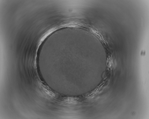X0000092250292200709141154