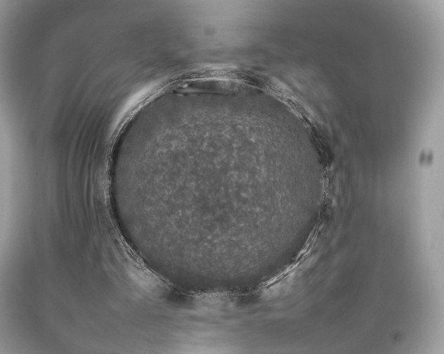 X0000092250293200709141154
