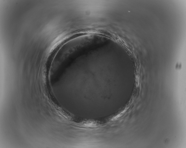 X0000092250295200709141154