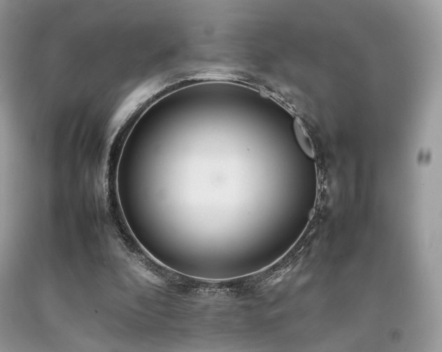 X0000092250296200709141154