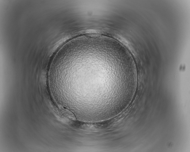 X0000092250297200709141154