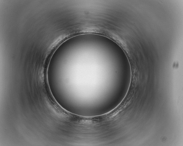 X0000092250298200709141154