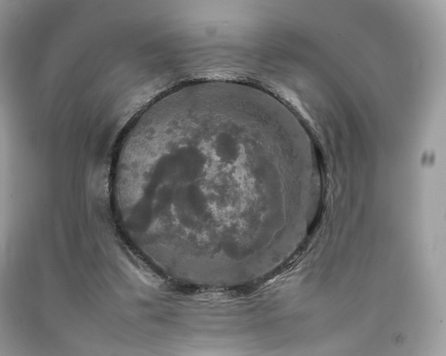 X0000092250299200709141154