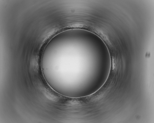 X0000092250300200709141154