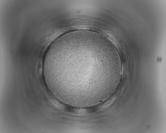 X0000092250301200709141154