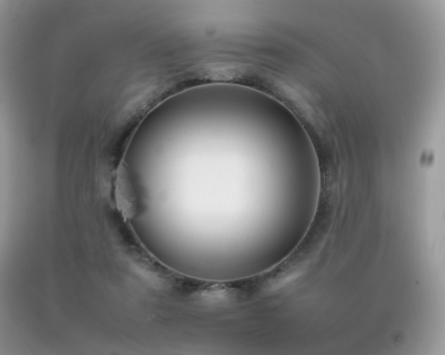 X0000092250307200709141153