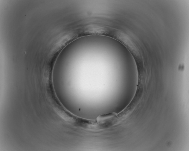 X0000092250309200709141153