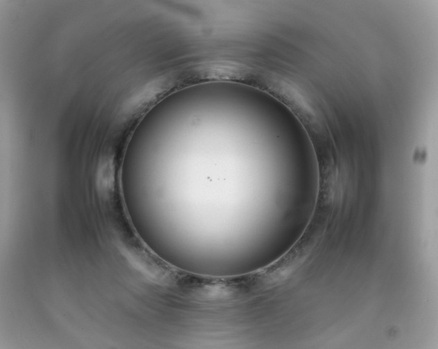 X0000092250310200709141153