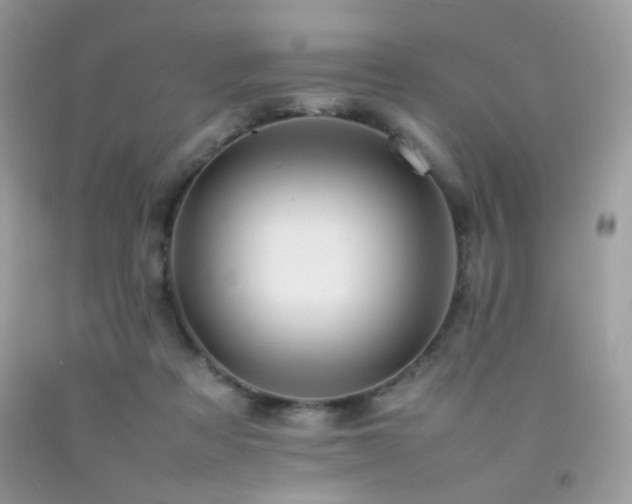 X0000092250313200709141153
