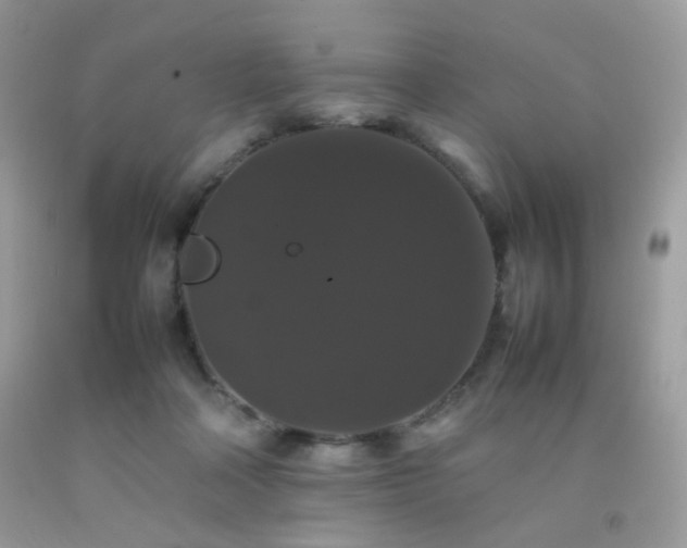 X0000092250314200709141153