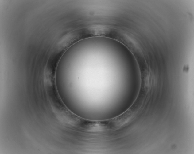 X0000092250316200709141153