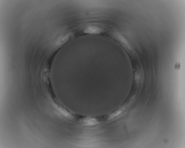 X0000092250322200709141153